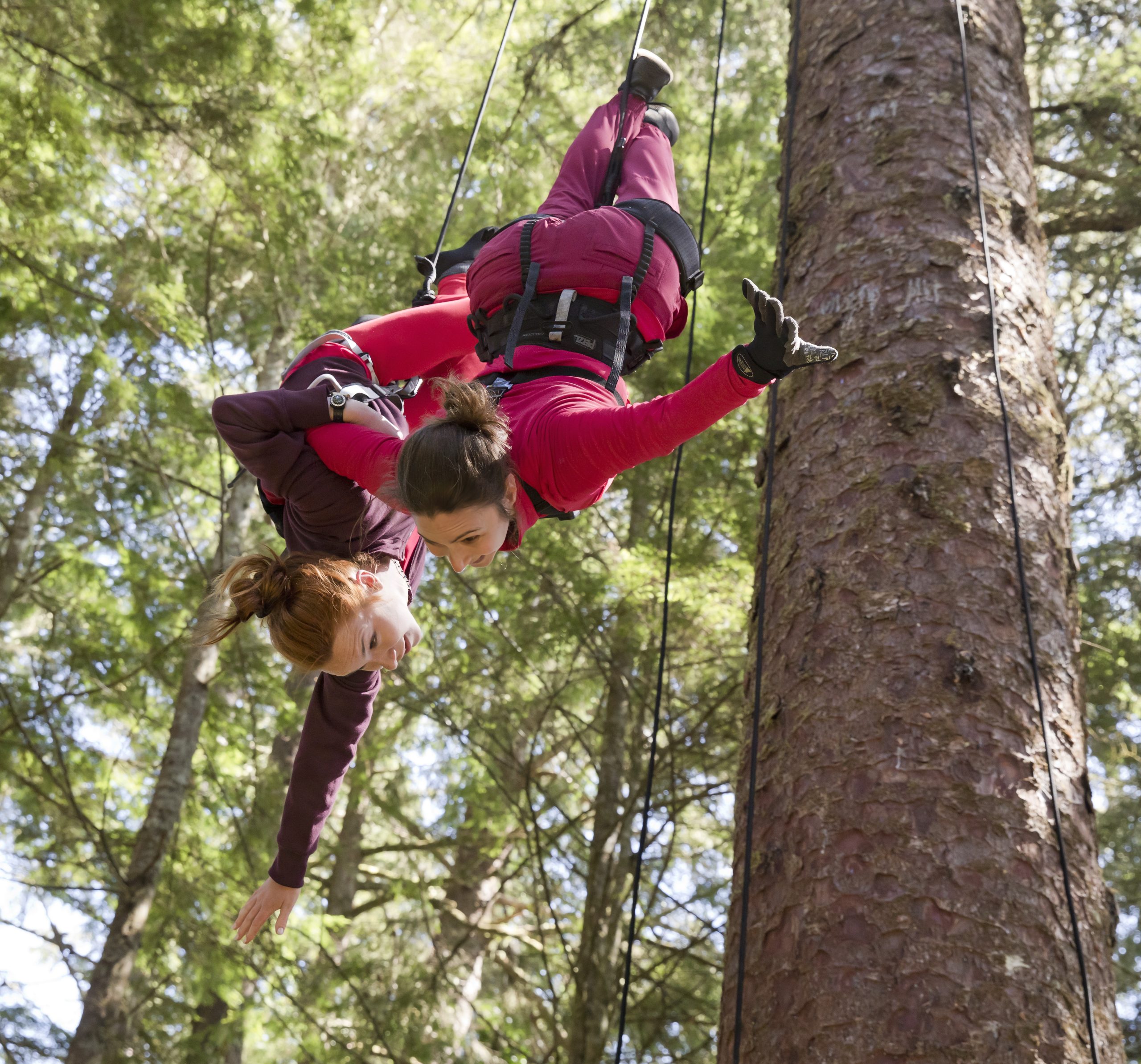 Upcoming Workshops & Classes!