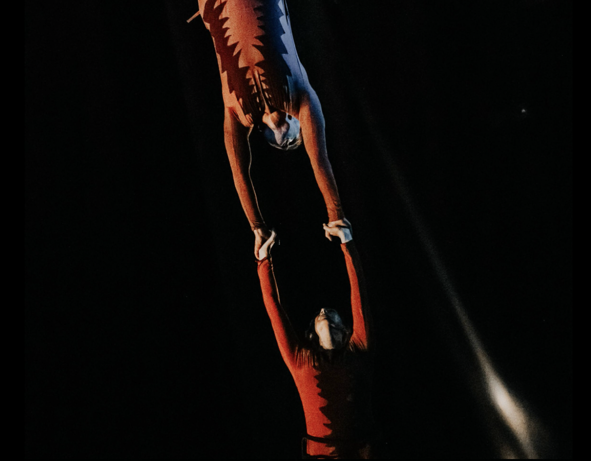 Free Salmon Cycle Studio Showing this Thursday! 